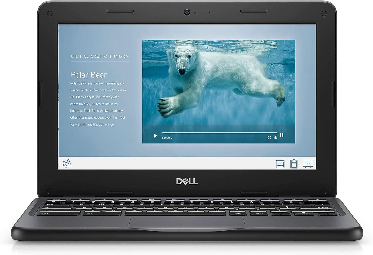 Dell Chromebook 11 3100